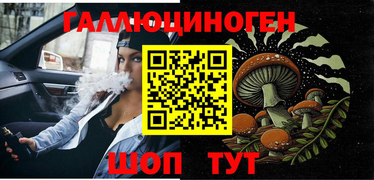 Псилоцибиновые грибы Cubensis  Галлюциногенные грибы Cubensis  Абинск  Вход с VPN 